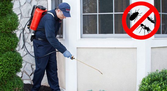 Söğütlü Böcek ve Haşere İlaçlama böcek ilaçlama ve haşere kontrolü — ilaclama-tr.com